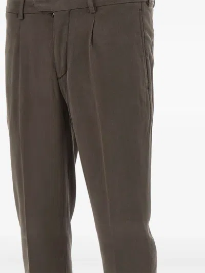 Devore Pleated Trousers In Brown