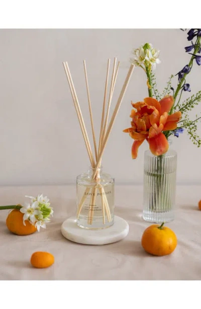 Brooklyn Candle Studio Love Potion Reed Diffuser In Pink