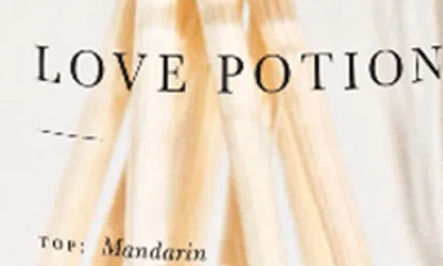 Brooklyn Candle Studio Love Potion Reed Diffuser In Pink