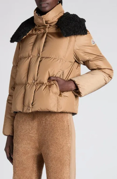 Moncler Piumino Corto Castelnou Con Cappuccio In Pile E Trapuntatura A Quadri In Brown