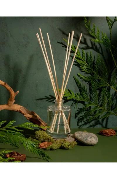 Brooklyn Candle Studio Catskills Reed Diffuser