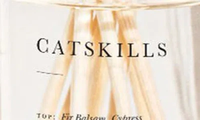 Brooklyn Candle Studio Catskills Reed Diffuser