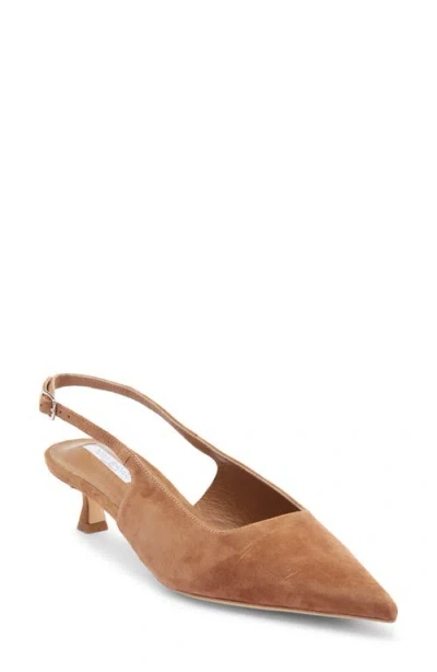 Tony Bianco Crush Slingback Pointed Toe Kitten Heel Pump In Multi