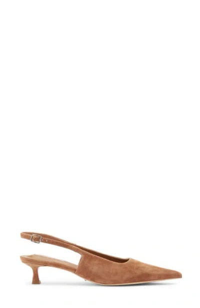 Tony Bianco Crush Slingback Pointed Toe Kitten Heel Pump In Multi