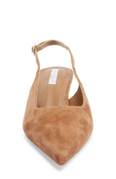 Tony Bianco Crush Slingback Pointed Toe Kitten Heel Pump In Multi