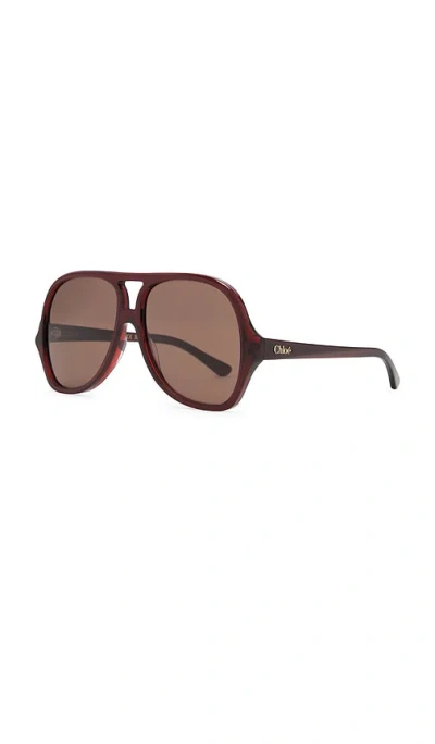 Chloé Aviator Sunglasses In Brown