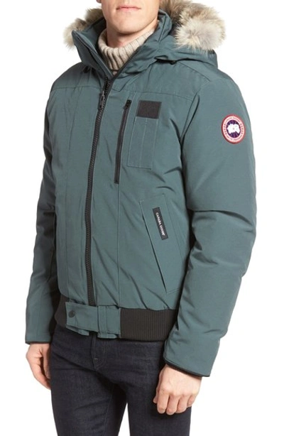 Canada Goose borden Regular Fit Bomber Jacket With Genuine Coyote Trim In Slate ModeSens