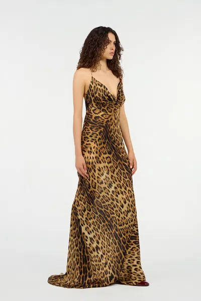 Roberto Cavalli Leopard Print Draped Dress With Open Back In Animal Print