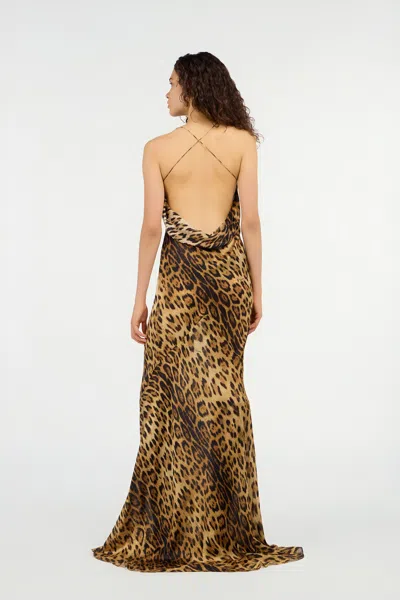 Roberto Cavalli Leopard Print Draped Dress With Open Back In Animal Print