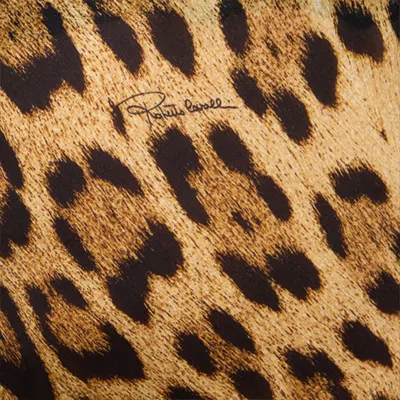Roberto Cavalli Leopard Print Draped Dress With Open Back In Animal Print