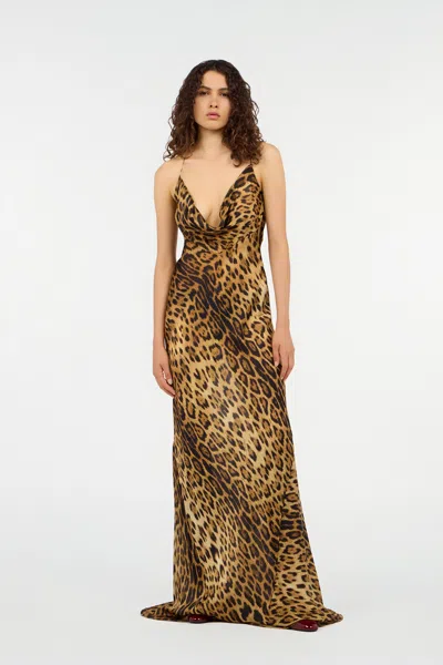 Roberto Cavalli Leopard Print Draped Dress With Open Back In Animal Print