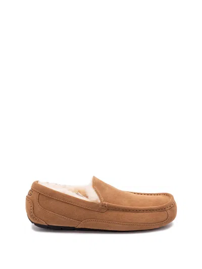 Ugg M Ascot Suede Moccasins In Brown