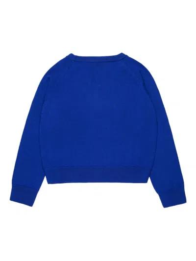 Max & Co Wool Sweatshirt In Blue