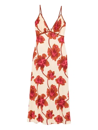 Johanna Ortiz Sendero De Astromelias Floral-print Satin Maxi Dress In Burgundy