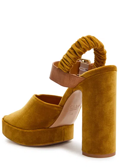 Chloé Chloe' Women Aria Velvet Sandals In Gold