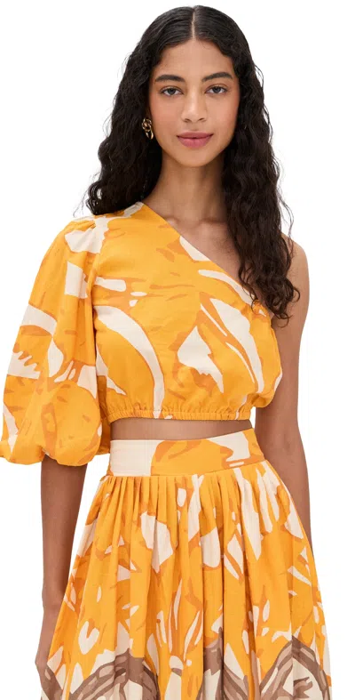 Diarrablu Printed Linen Ira Top In Yellow