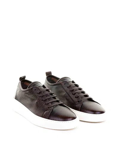 Barrett Brown Leather Sneaker In Brown
