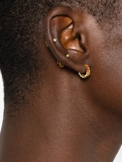 Ryenn's Eyes Carnelian Earrings In Gold