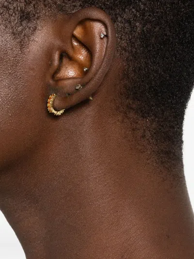 Ryenn's Eyes Carnelian Earrings In Gold