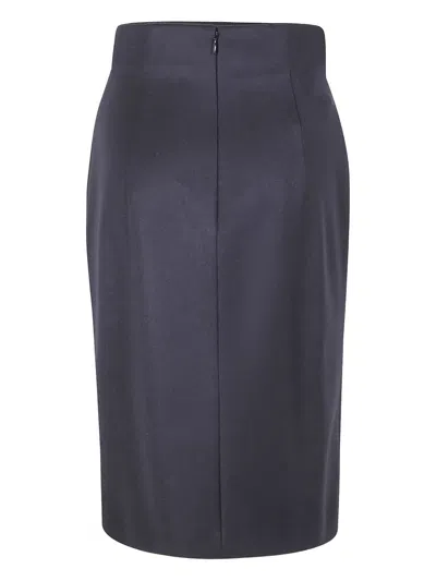 Alberta Ferretti Alberta Ferreti Skirt In Blue