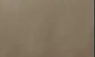 J&v Textiles J And V Textiles 1000 Thread Count Luxe Egyptian Cotton Sheet Set In Brown