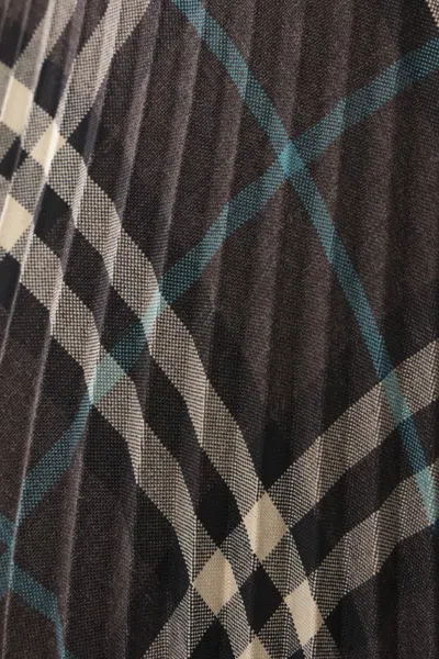 Burberry Squared Skirt In Black