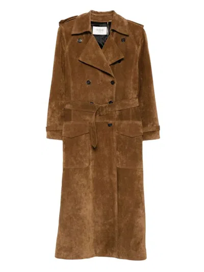 Saint Laurent Double Breasted Belted Trench Coat In Brown