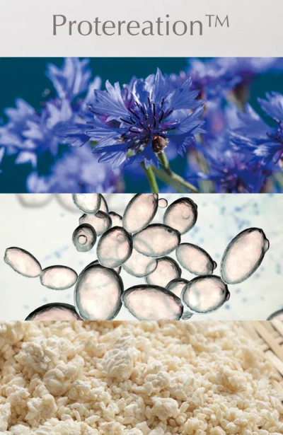 Albion Authentique The Face Wash