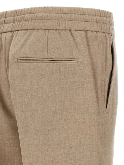 Brioni 'asolo' Pants In Neutral
