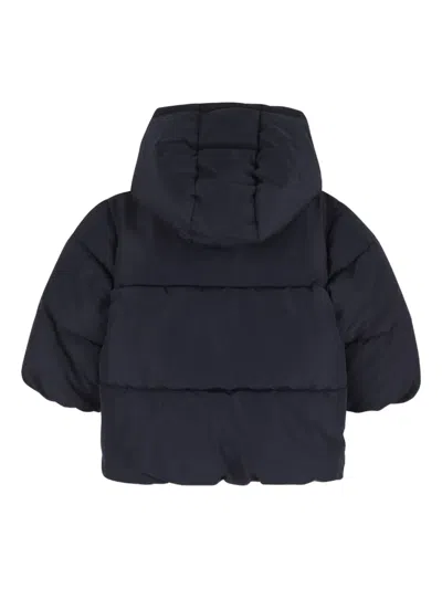 Bosswear Hooded Puffer Jacket In Black