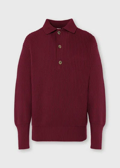Malo Cashmere Polo Shirt In Burgundy