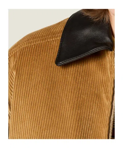 Miu Miu Padded Corduroy Blouson In Brown