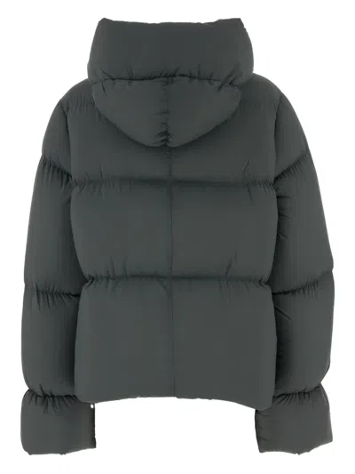 Bacon Asics Multicolor Mesh And Rubber Gel-kayano 14 Sneakers In Gray