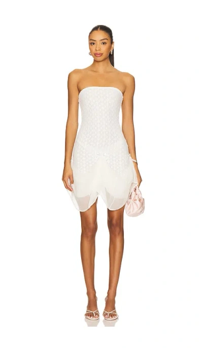 Buci Lace Metis Dress In White