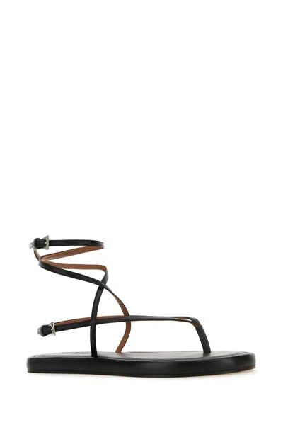 Paris Texas Flat Strappy Design Leather Sandals In Black