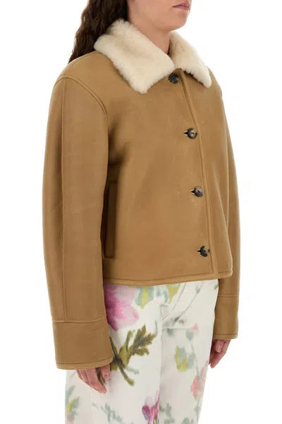 Loewe Camel-coloured Shearling Jacket Women In Brown