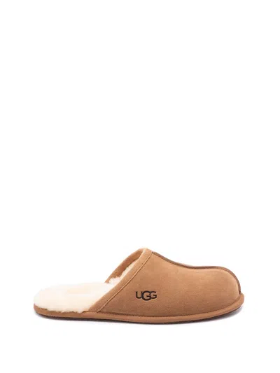 Ugg Ciabatte Scuff In Brown