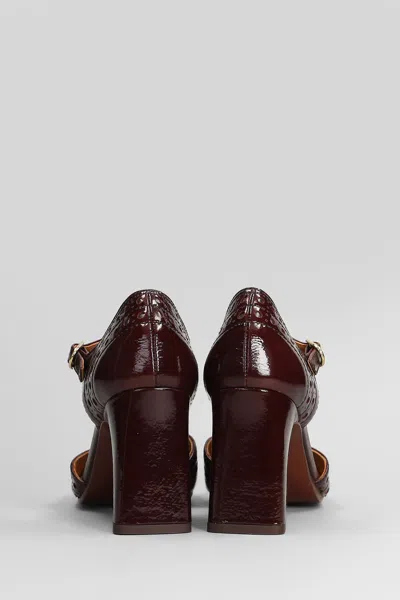 Chie Mihara Mante Pumps In Bordeaux Leather In Burgundy