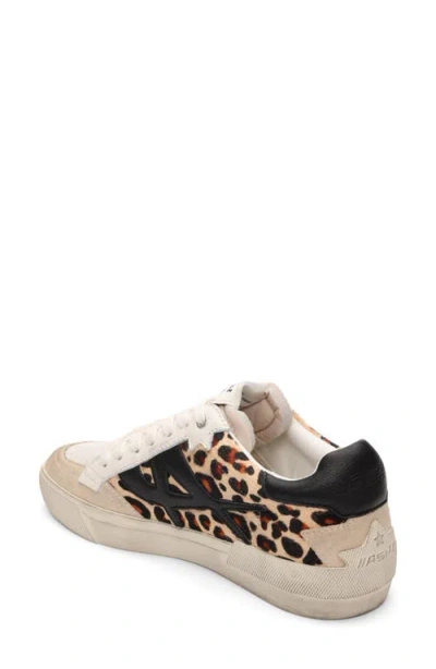 Ash Moonlight Sneaker In Multi