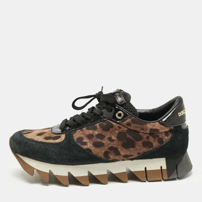 Pre-owned Dolce & Gabbana Multicolor Leopard Print Canvas And Patent Leather Lace Up Sneakers Size 36