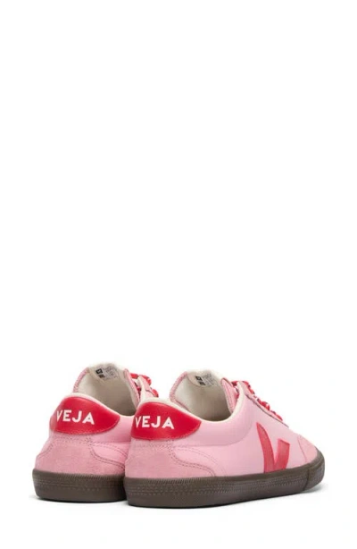 Veja Volley Leather Sneaker In Guimauve Pekin Eagle In Pink