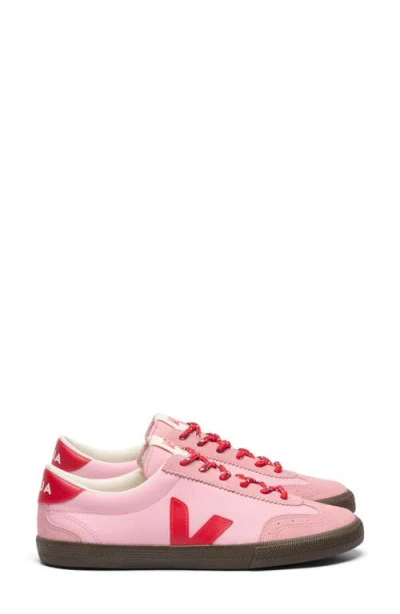 Veja Volley Leather Sneaker In Guimauve Pekin Eagle In Pink