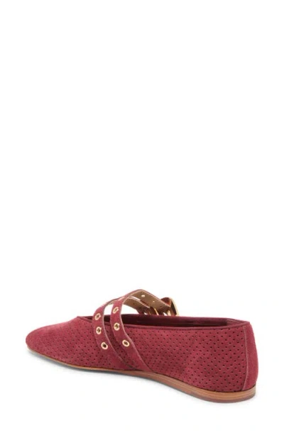 Dolce Vita Baylee Grommet Ballet Flats Oxblood Perforated Suede In Red