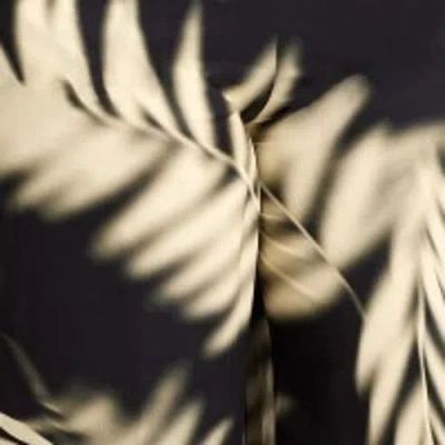 Live Unlimited Leaf Print Wide Leg Pull On Pants In Black