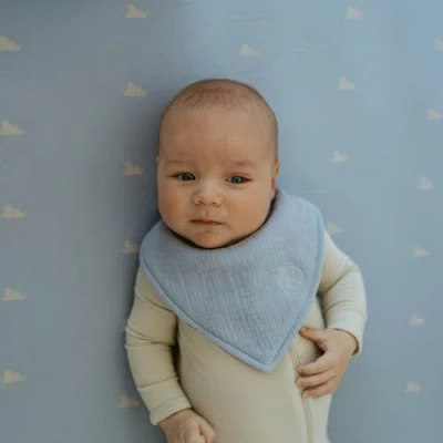 Parker Baby Co. Muslin Bandana Bibs In Gray