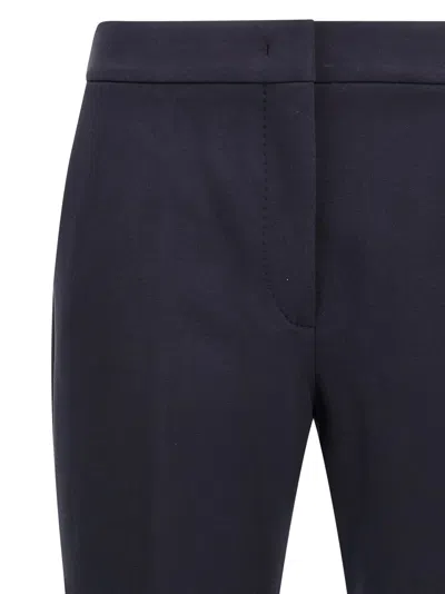 Max Mara Stretched Pleat Trousers In Blue
