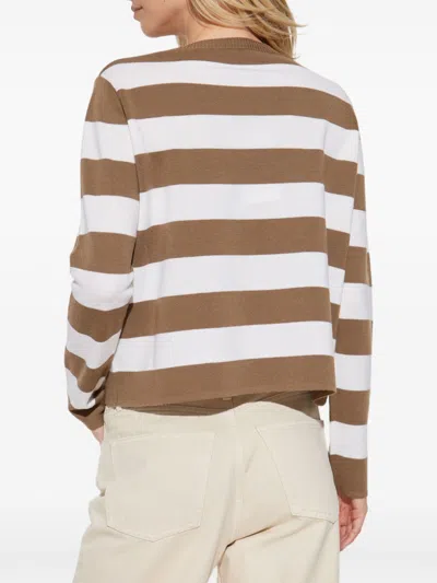 Max Mara In Brown
