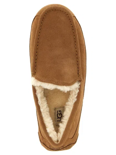 Ugg M Ascot Suede Moccasins In Brown