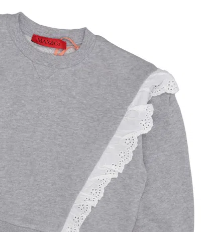 Max & Co Max&co Sweaters Light Grey In Gray