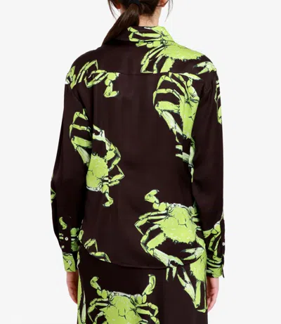 Msgm Shirts In Brown